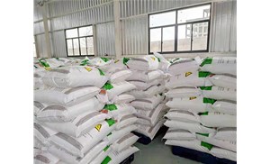 丁二酸酐有什么質量標準？